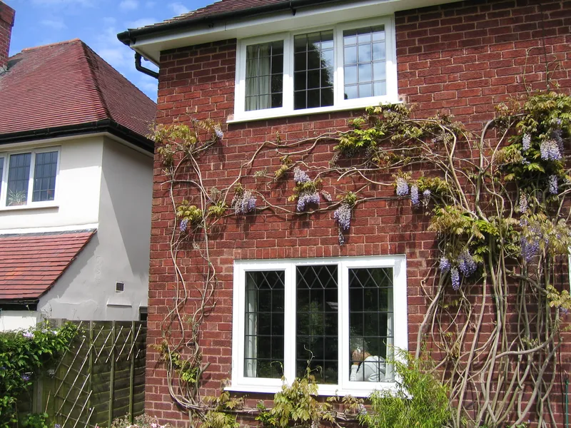 Edwardian Conservatory — Gallery Earlsfield