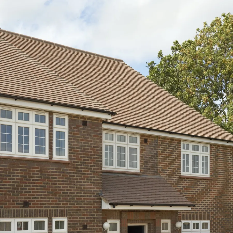 Orangery — Product Earlsfield